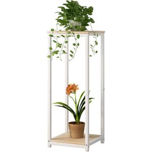 Plant Stand Indoor Corner Tall 2 Tier Metal Modern Flower Storage Plant Shelf Holder for Living Room Balcony Garden,White (2 Tier-White)