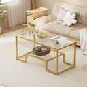 Wolawu Coffee Table Gold Glass Coffee Table for Living Room,2 Tiers Rectangle Center Table with Sturdy Metal Frame,Modern Tempered Glass Accent Table for Bedroom Home Office, 39.4x18.9x17.7 inches