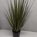 Boston International Artificial Ornamental Grass Home Dcor Faux Indoor House Plant in Plastic Pot, Large, Wild Grass Bunch