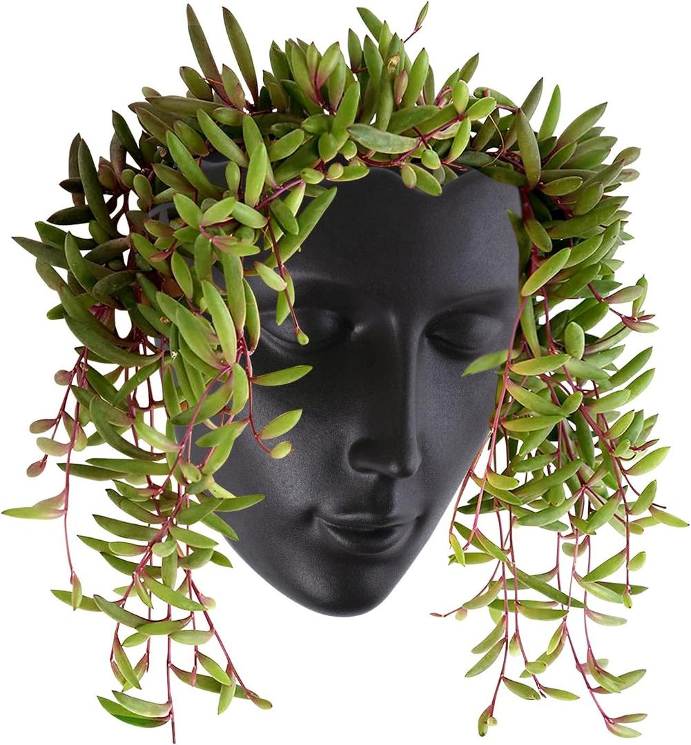 Notakia Face Planter Pot Wall Mounted Outdoor/Indoor Planter with Drainage for Succulents, Cactus, and Small Plants Unique Home Decor Gift for Friends and Family (Black)