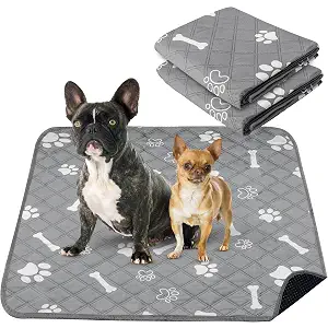 PatiencET Washable Pee Pads for Dogs, 36'' x 41" Reusable Puppy Pads with Super Absorbent, 2 Pack Large Potty Buddy with Waterproof Bottom for Pet Training, Housebreaking and Incontinence