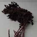 Plant Ivy  Burgundy Decorative for Wall Design Garden Decoration 6 Pack Leaves