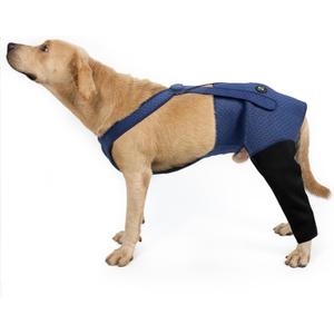 Coodeo Dog Recovery Suit, Cone Alternative - Abrasion Resistant, Waterproof & Washable 2.5mm Thick Sleeves to Prevent Licking, Biting Wounds (Blue, 2XL)