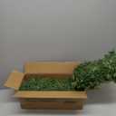 Christmas Garland with 50 Lights 9 Ft, Prelit Xnas Garland with Cypress Leaf, Battery Operated Christmas Decor for Mantle Staircase Indoor and Outdoor (RealLiketips-A)