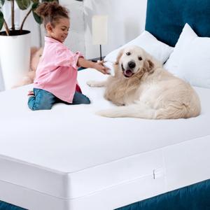 Zipper Mattress Cover Size Twin