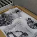 Aeitto Cold Press Juicer Machines, 3.6 Inch Wide Chute, Large Capacity, High Juice Yield, 2 Masticating Juicer Modes, Easy to Clean Slow Juicer for Vegetable and Fruit, Silver