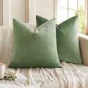 MIULEE Pack of 2 Sage Green Pillow Covers 18x18 Inch Decorative Velvet Throw Pillow Covers Modern Soft Couch Throw Pillows Farmhouse Home Decor for Spring Sofa Bedroom Living Room