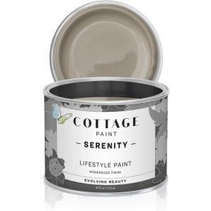 Serenity Silk All-in-One Mineral Chalk Paint for Furniture, Home Decor, Cabinets and DIY Crafts - Built-in Topcoat - (16oz, Horned Owl)