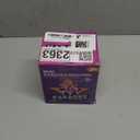 Karaoke Machine for Kids, Portable Mini Speaker with 2 Wireless Microphones, TOP Kids Gifts for Girls Ages 3, 4, 5, 6, 7, 8, 9, 10, 11, 12 +Years Old, 4-12th Christmas Birthday Toy Party (Purple)