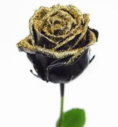 Black Glitter Gold Roses