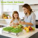 FANHAO Upgraded Visual Seed Sprouter Tray, Stainless Steel Soil-Free Cultivation Germination Tray with Acrylic Base, Healthy Microgreens Growing Kit for Indoors Sprouting Seeds, Grow Grass, Beans