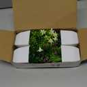 Der Rose 4 Pack Small Fake Plants Mini Artificial Faux Plants Indoor with Flowers Spring Decorations for Home Room Farmhouse Desk House Bathroom Decor