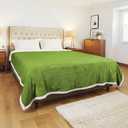 Electric Heated Blanket Full Size 72x84 Inch - Super Soft Flannel, 10 Heat Settings, 1-12H Auto Shut Off, Machine Washable, Easy Controller, Perfect for Winter Warmth - Light Grass Green