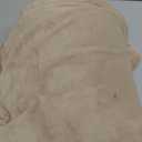 Sunbeam Electric Royal Posh Velvet Heated Blanket, 12 Heat Settings, 12-Hour Selectable Auto Shut-Off, Fast Heating, Warm and Lush, Champagne Color, Full, 84" x 72"