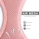 Fida Comfy Dog Harness with Leash, Cat Vest Harness Escape Proof, Breathable Lightweight Soft Mesh, Adjustable Reflective Step-in Harness for Puppy Toy Breeds & Extra-Small Pet (XXS, Pink)