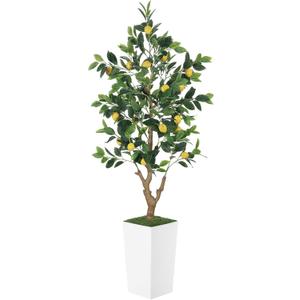 5FT Artificial Lemon Tree with Pot - 60" Fake Lemon Tree with White Tall Planter, Faux Lemon Plant with Realistic Fruits and Silk Leaves, Artificial Plants Indoor for Home Office Kitchen Decor