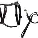Blue-9 Pet Products No-Pull Balance Harness and Loose Leash Walking Set Dogs, Made in The USA, Black, Small