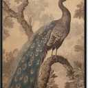 Art Remedy French Decor Peacock Canvas Retro Japanese Art Prints, Black Frame, 10" x 15"