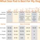 Amazon Basics Carbon Odor Control Dog and Puppy Pee Pads, 5-Layer Leak-Proof Super Absorbent, Quick-Dry Surface for Potty Training and Housebreaking, X-Large Size 28"x34", Gray, 50 Count
