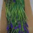 20 Bundles Artificial Plants Outdoor, UV Resistant Fake Flowers Realistic Faux Lavender Shrubs for Porch Garden Window Box Home Decoration (Purple)