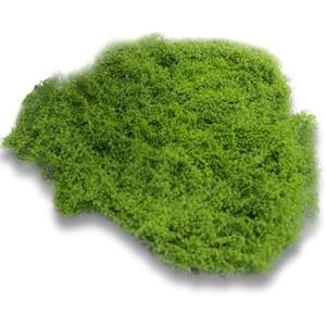 Fake Green Moss for Plants Indoor,17.5 Oz Artificial Moss for Potted Plants Decor,DIY Decorative Faux Moss for Crafts Fairy Garden Floral Table Centerpieces Glass Containers Home (Light Green)