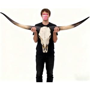 BKCEHCRS Longhorn skull,70 Inches -longhorn wall decor,Realistic Retro Bull cow skull wall decor,Faux TaxidermyHandmade Animal Cow Head Skulls for Living Room, Bedroom,Black2