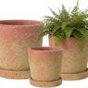Yungyan Set of 3 Rustic Terracotta Planter Pot and Saucer 5/6/7 Inch Aged Farmhouse Style Flower Pot Distressed Finish Cement Planter with Drainage Hole for Indoor Outdoor Garden, Patio, Porch