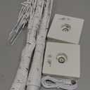 Vanthylit White Birch Tree with LED Lights - Set of 2, Tabletop Tree with Timer, Christmas Decorations Lighted Tree for Indoor Mantel Home Decor (2 FT, 24 LED)