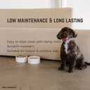 Marble Pet Bowl  Luxury Stone Dog or Cat Bowl, Crema Marfil Marble, Heavyweight & Non-Slip, Handcrafted Elevated Food or Water Dish for Small Pets (Ibiza)