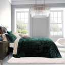 RECYCO Luxury Velvet Quilt Set Full Queen Size Bedding Sets, Ultra Soft Velvet Comforter Set, Lightweight Channel Box Stitch Oversized Bedspread Coverlet for All Season, with 2 Shams, Emerald Green