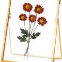Glass Pressed Flower Frame Handmade, Floating Picture Frames for Pressed Flowers, Tabletop Artwork Photo Frames, Brass Desk Picture Frame for Home Office Plant Specimen, Gold, 5x7 Inches (5L" x 7W")
