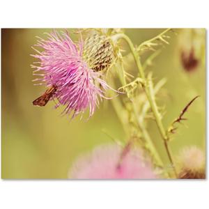 Trademark Fine Art Skipper on Pink Thistle Canvas Wall Art by Lois Bryan, 30 by 47-Inch (47L" x 30W")