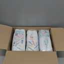 The Honest Company Clean Conscious Training Pants for Sensitive Skin | Hypoallergenic, Fragrance Free | Let's Color + See Me Rollin' | Size 4T/5T (38+ lbs), 48 Count, Let's Color + See Me Rollin'