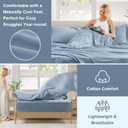 Comfort Spaces 100% Cotton Sheet Set Breathable, Lightweight, Soft with 14" Elastic Pocket Fits up to 16" Mattress, All Season Cozy Bedding, Matching Pillow Case, Queen Blue 4 Piece