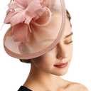 DRESHOW Women Fascinator Hats Tea Party Hat Vintage Pillbox Hat Headband for Cocktail (1 Pc: Light Pink Feather Flower)