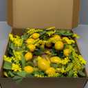 TEMPUS 20 inch Artificial Lemon Wreath Spring Summer Fruit Wreath with Yellow Lemon and Artificial Green Leaves for Front Door, Window and Wall Hanging Decorations, Holiday Decorations