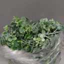 DearHouse Faux Eucalyptus Garland Plant, 2 Pack Artificial Vines Hanging Eucalyptus Leaves Greenery Garland for Wedding Backdrop Arch Wall Decor, 6 Feet/pcs UV Protected Indoor Outdoor