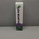 Amazon.com : TDHDIKE 25 Pcs Plastic Planters Indoor Flower Plant Pots, Mini Flower Seedlings Nursery Pot with Pallet, Modern Decorative Gardening Containers (White, 25) : Patio, Lawn & Garden