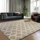 Shag Area Rug 5x7 Feet Extra Soft Rugs for Living Room, High Pile Indoor Carpet for Bedroom, Kids Room, Nursery, Home Decor, Geometric, Beige/White