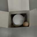 200g Leather Edge Sealer Kit, Burnishing Gum Smooth Glossy, Becomes Clear After Drying, for Belts, Wallets, Shoes, Sofas