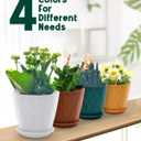 6 Inch Indoor Planter Pots with Drainage Hole and Tray Saucer,Flower Pots for Indoor Outdoor Garden Plants and Flowers, Multicolor, 4 Packs