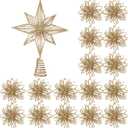 Barydat 17 Pcs Christmas Tree Decorations Set Glitter Star Christmas Tree Topper Metal Xmas Treetop with 16 Hanging Flower Christmas Balls Ornaments for Holiday Xmas Tree Party Decoration (Champagne)