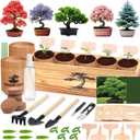 5 Pack Bonsai Tree Kit - 5 Seeds Growing Plant Bonsai Tree Live Kit for Beginners, Easy to Grow Complete Indoor Garden Starter Kits with Wooden Box & Tools, Christmas Gifts for Men Women Plant Lover
