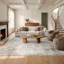 Washable Rugs 5x7 Area Rugs for Living Room,Rug for Bedroom, Vintage Distressed Non-Slip, Ultra Soft Faux Wool Carpet for Dining Room, Beige Brown for Home Office Dcor
