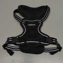 rabbitgoo Dog Harness No Pull with 2 Leash Clips, Adjustable Soft Padded, Reflective Oxford No Choke Pet Vest with Easy Control Handle for Puppy, Black, XS