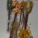 Artificial Greenery Stems Box Set for Fall Decor (Pack of 70pcs) with 8 Kinds of Faux Plants and Fake Flowers for Autumn DIY Wedding Bouquet Table Centerpieces and Floral Arrangement (Brown & Orange)