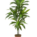 Nearly Natural 48in. Dracaena Silk (Real Touch) Artificial Plant