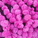 Marigold Garland for Decoration 5 feet Long Strands Artificial Marigold Flowers, Indian Decor for Diwali Decoration, Wedding Christmas, Events(Set of 5pcs) (Pink, 5 Feet Long)