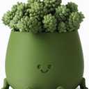 TOPOLA Happy Face Planter, 5.2 Inches Plastic Plant Pot, Self Watering Plant Pot with Drainage Holes for Indoor Outdoor, Succulent Pot, Funny Flower Pot, Dark Green