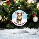 2 x Christmas Ornament - Lion Merry Christmas Ceramic Ornament, Xmas Tree Decoration, Hanging Ornament, for Family, Friends, Animal Lovers